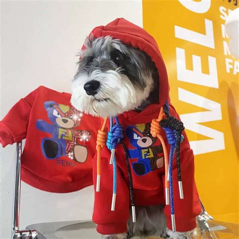 fendi clothes for dogs|Fendi women's trenchless.